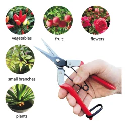 A list of common gardening tools
