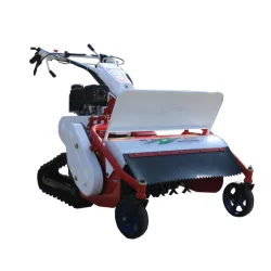 Type of lawn mower