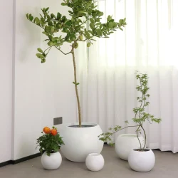The Ultimate Guide to Choosing the Perfect Flower Pot for Your Garden